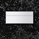 The Scribe Engraved No. 10 Envelope Back