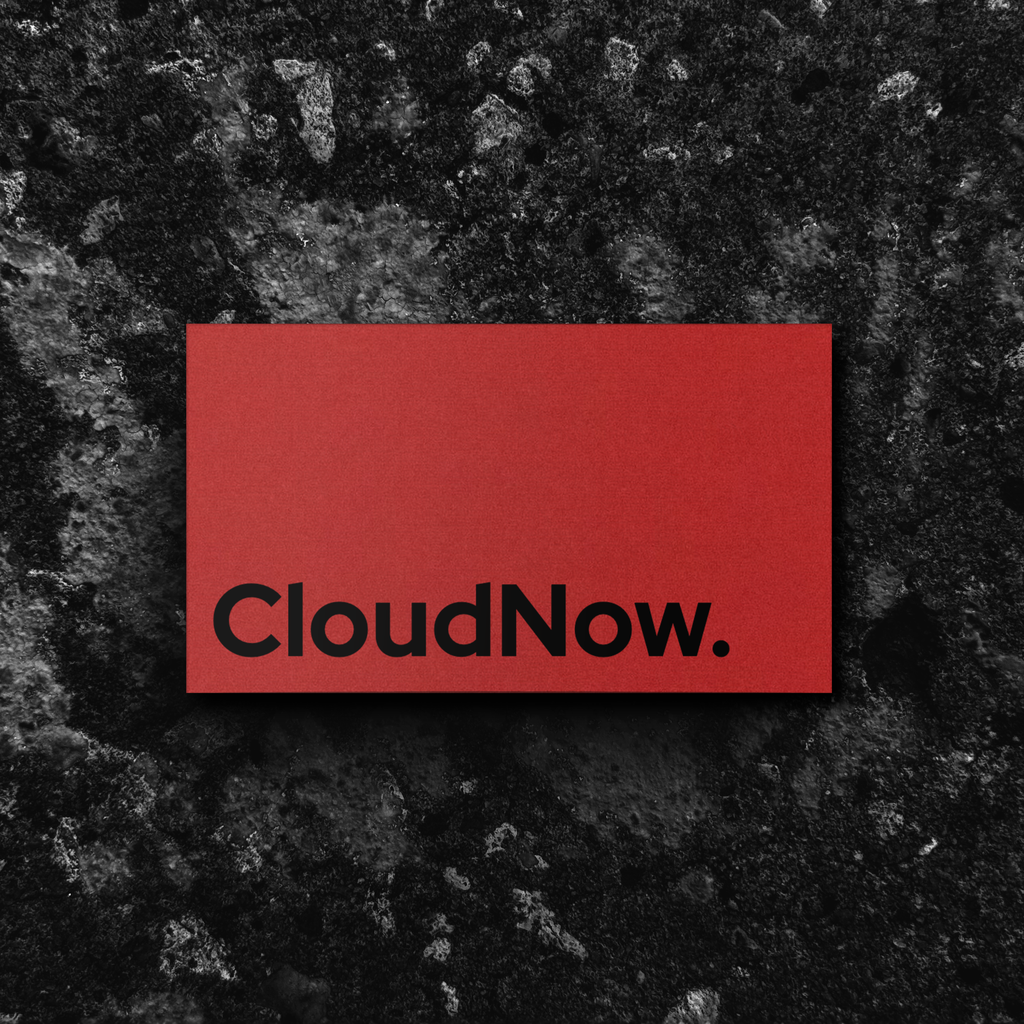 No. 025 Printed | Dual Tone Business Card 