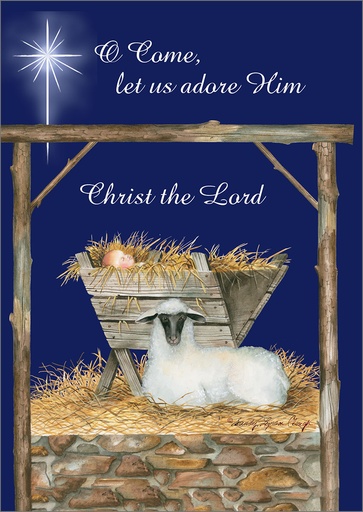 [C3701C] Star and Manger Christmas, Box of Cards