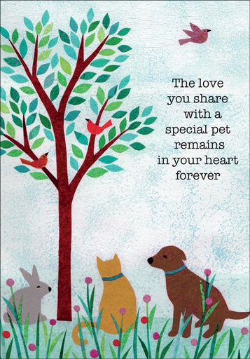[P5422] P5422 - Pet Sympathy Cards for Veterinarians
