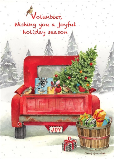 [C3711V] C3711V - Volunteer Christmas