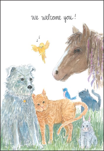 [T4326] T4326 - Groomed Dog Welcome Cards
