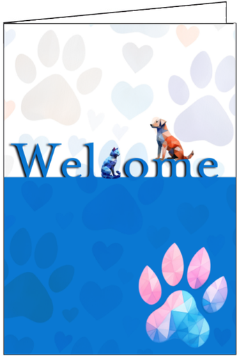 [P102] P102 - Welcome to our Clinic