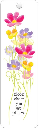 [BK141] BK141 - Bookmarks